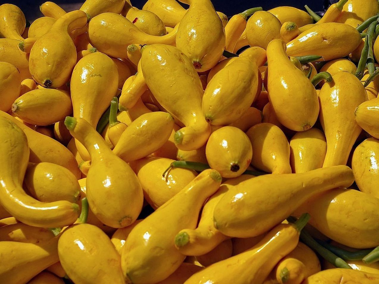 Le tradizioni agricole del mercato rurale